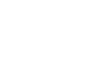 Private Vehicle Inspection icon